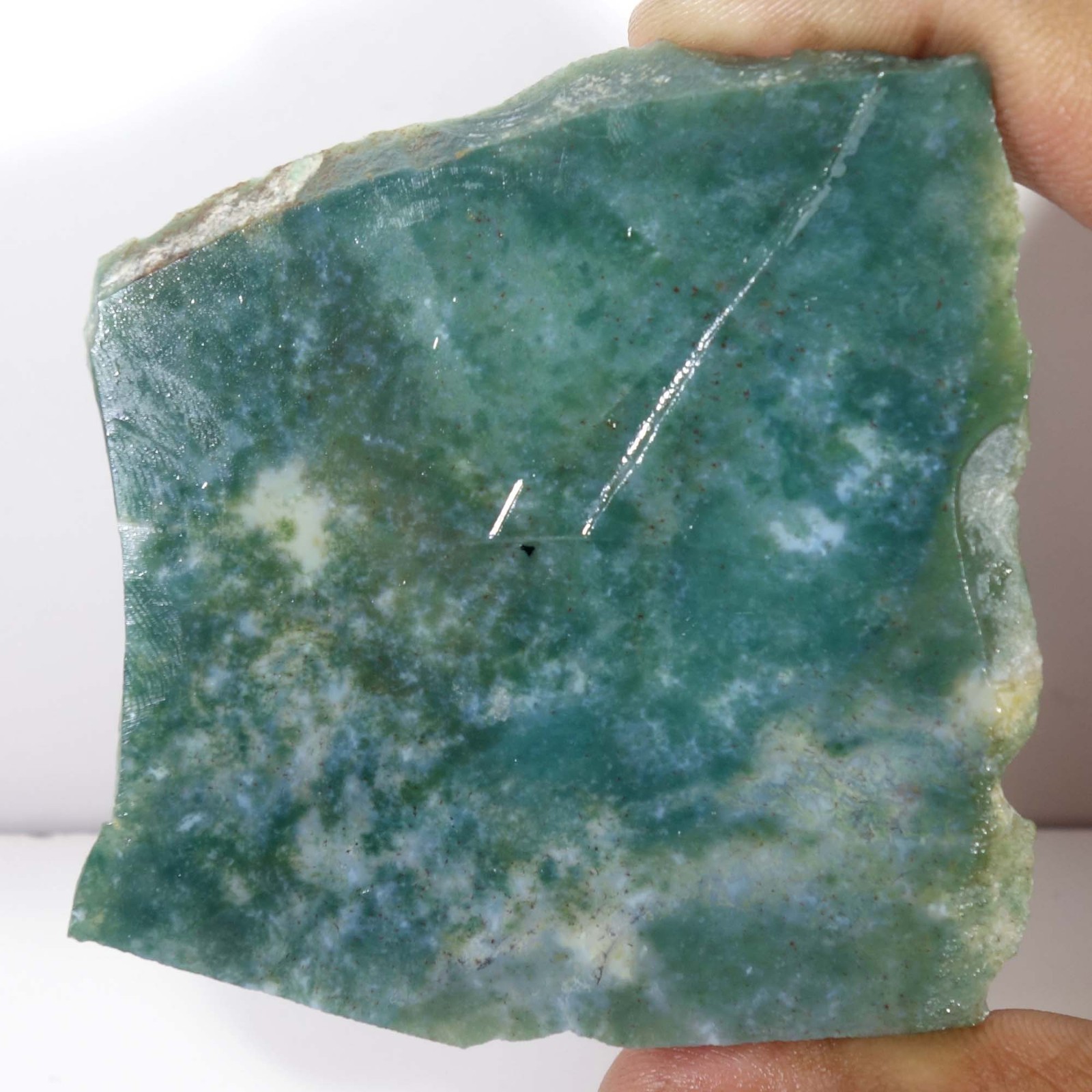 Seaweed Green Moss Agate Slice Slab Rough Natural Gemstone Loose 280.80 Cts