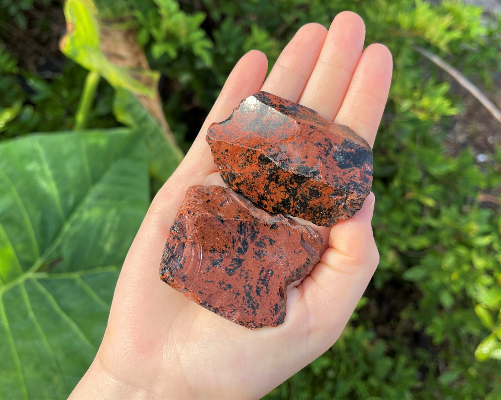 LARGE Rough Mahogany Obsidian Natural Crystals, 2 – 3″ (Raw Obsidian Gemstones)