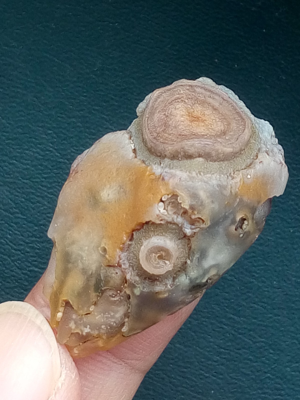 37mm Beautiful Natural Gobi agate eye agate stone collection