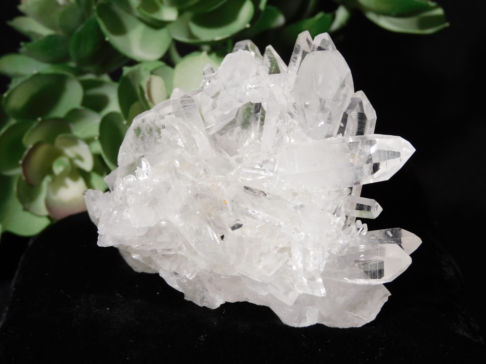VERY TRANSLUCENT Quartz Crystal Cluster Collier Creek ARKANSAS 135gr