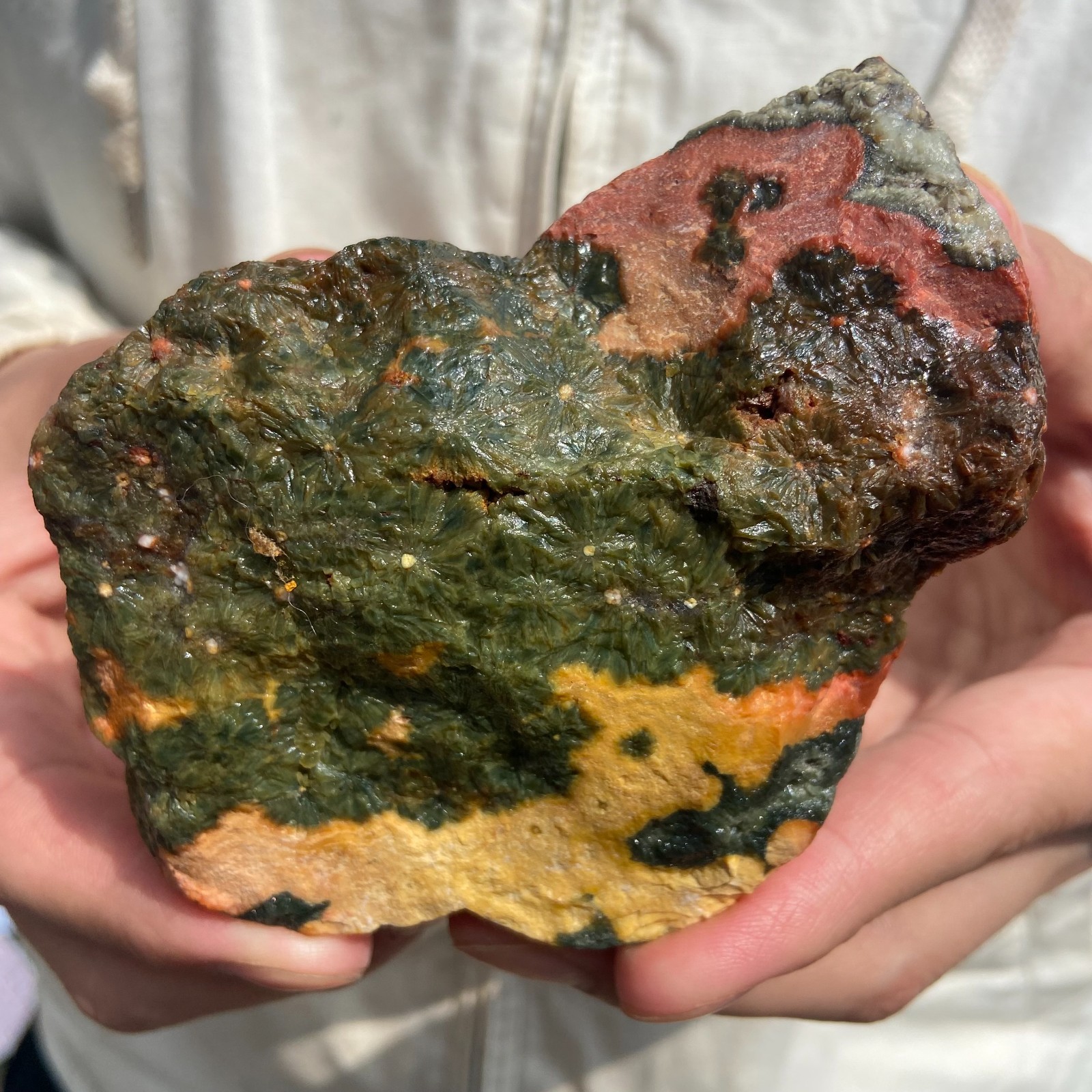 1.3LB Rare Natural Raw Ocean Jasper Rough Quartz Crystal Mineral SpecimeM