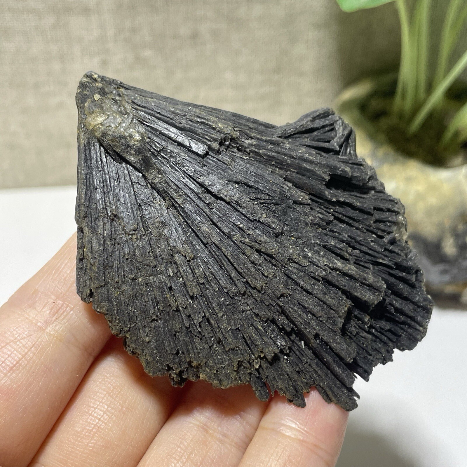 Natural Irregular natural black crystal cluster mineral specimen（dian qishi）71g
