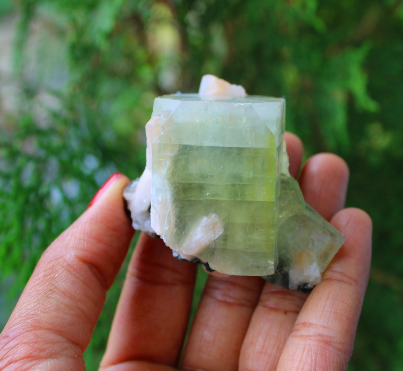 GREEN APOPHYLLITE CRYSTALS MINERALS SPECIMEN