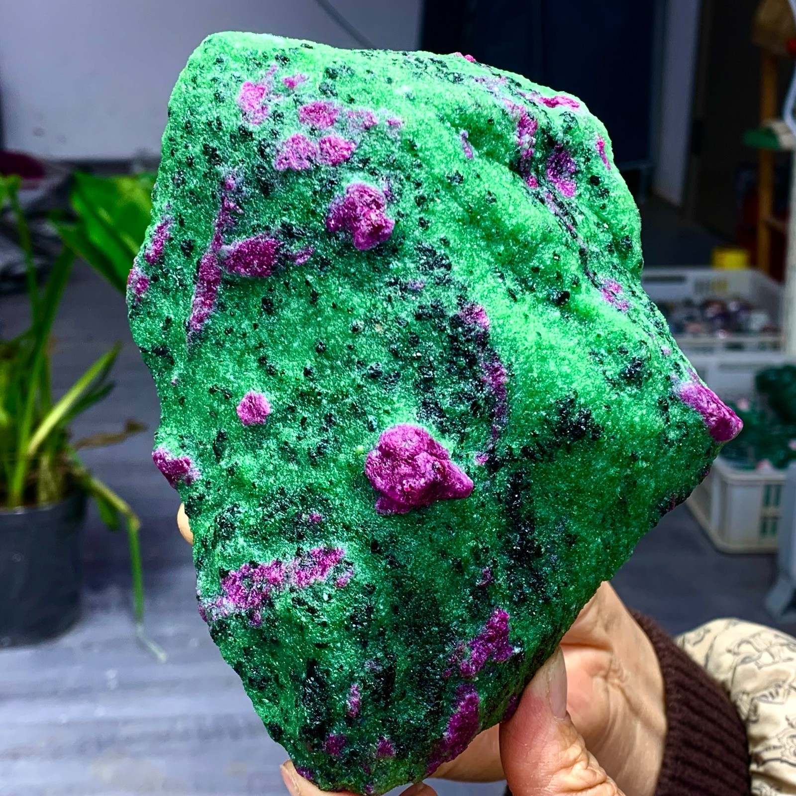 3.5LB Natural green Ruby zoisite (anylite) crystal Chakra Healing Energy A761