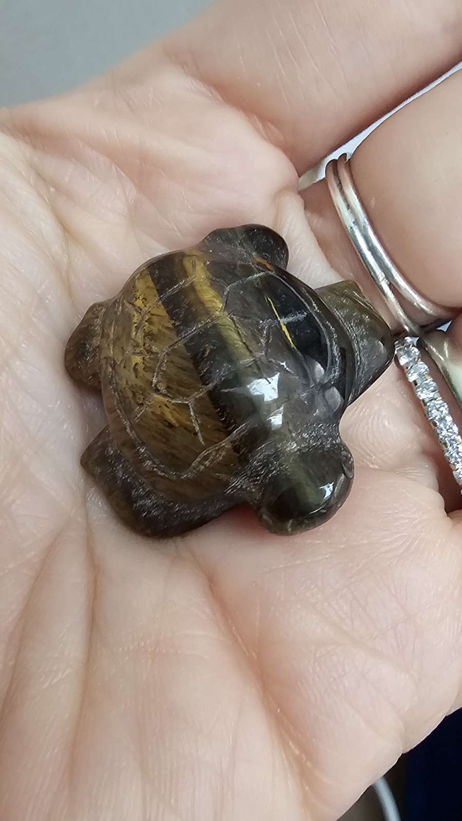 Mini tigers eye crystal Turtle Tortoise Carving 11g 2.8cm