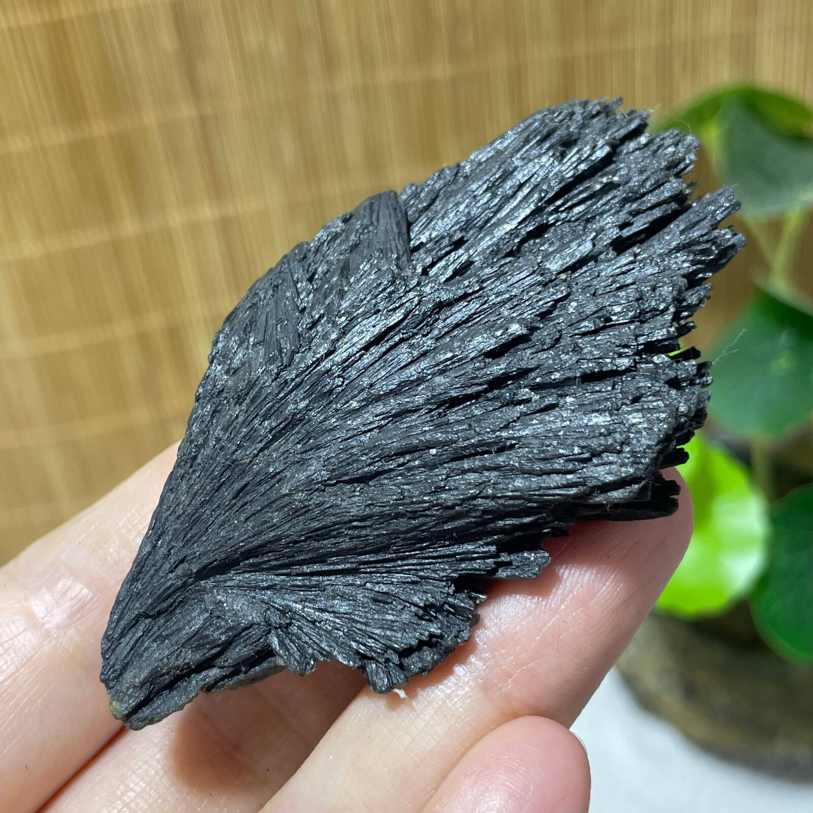 64g Natural Irregular natural black crystal cluster mineral specimen（dian qishi）