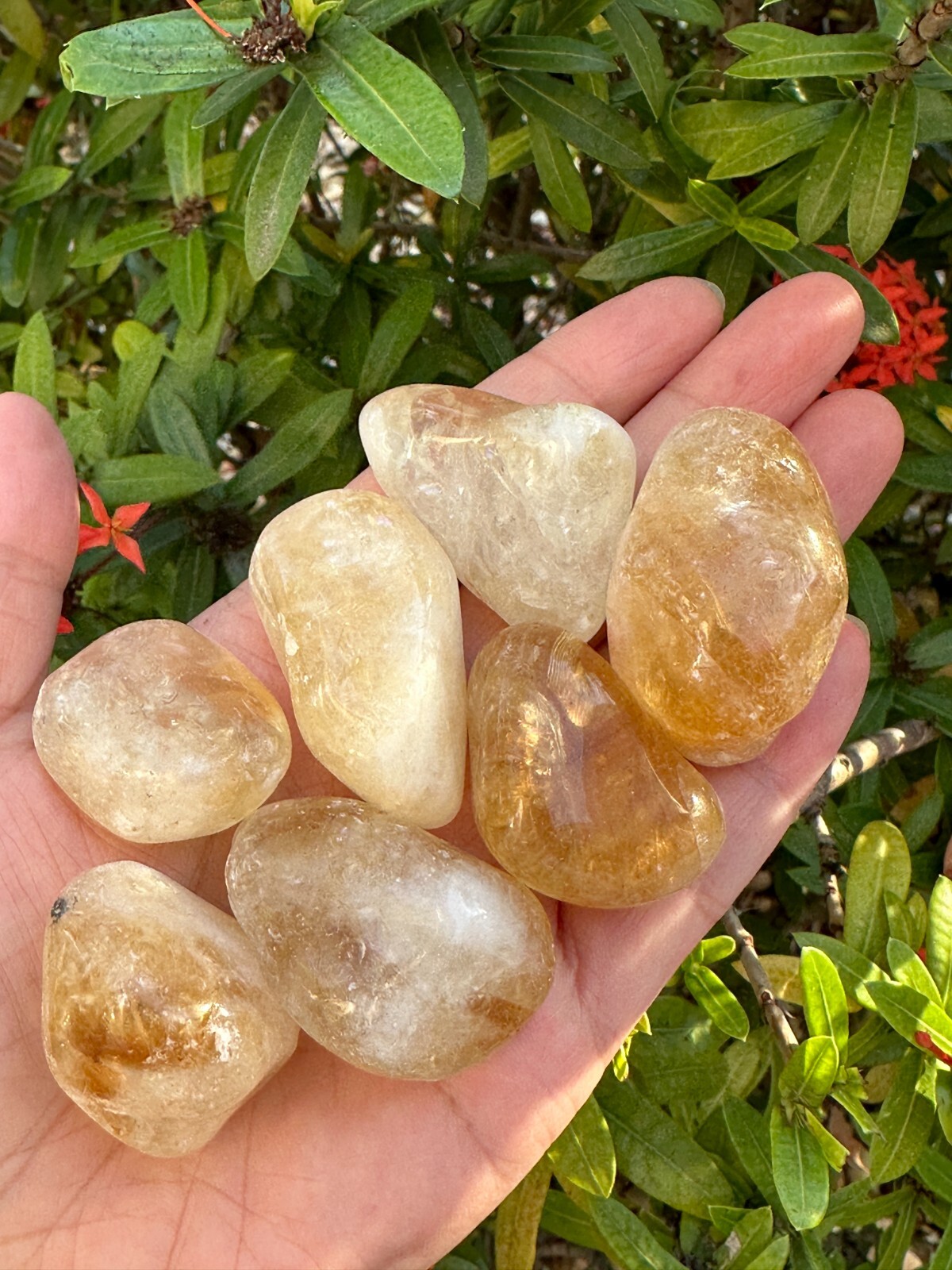 Grade A++ Citrine Pebble, 1.25-2 Inch Large Tumbled Citrine Stones,Wholesale Lot