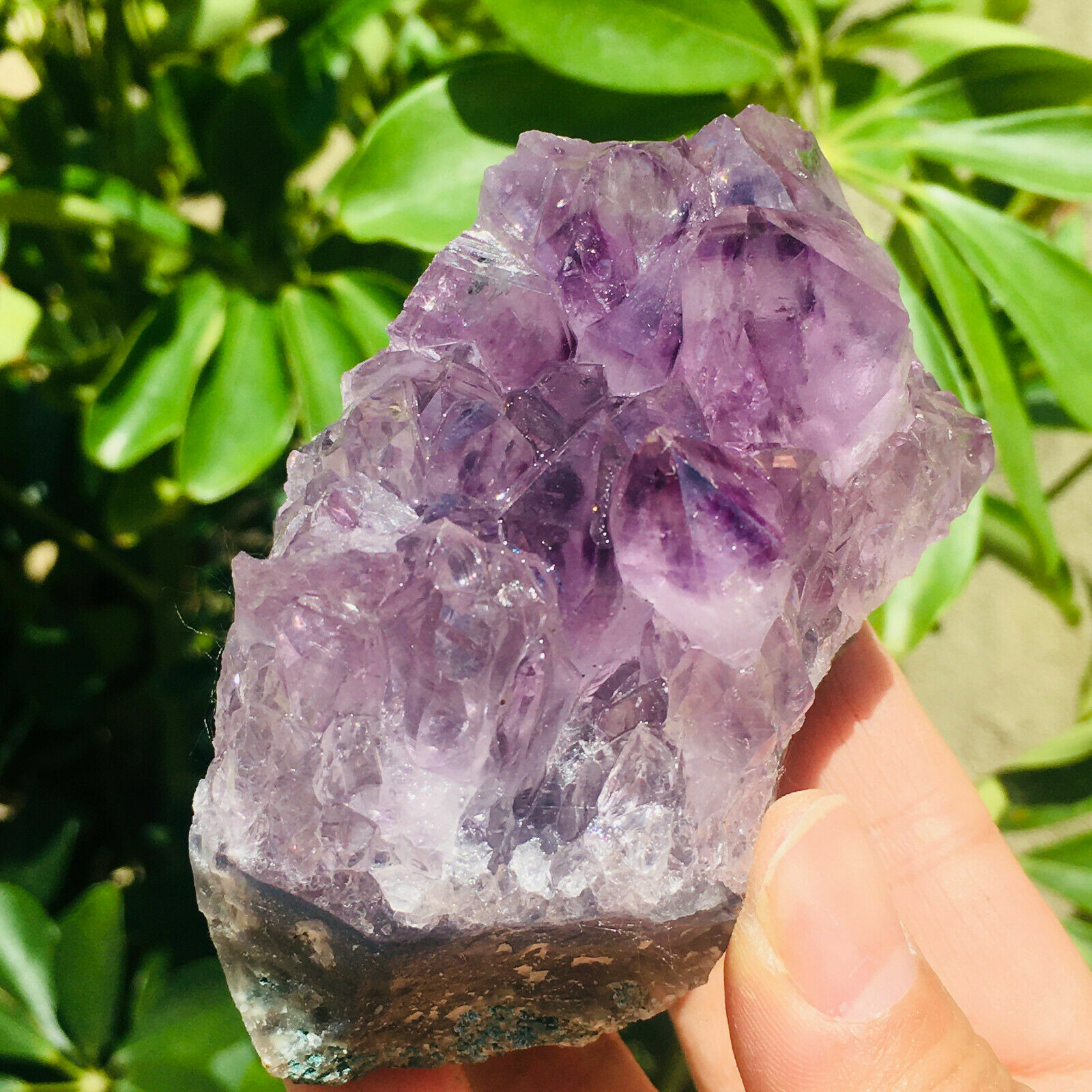306g Natural Amethyst Geode Quartz Cluster Crystal Specimen Healing, Madagascar