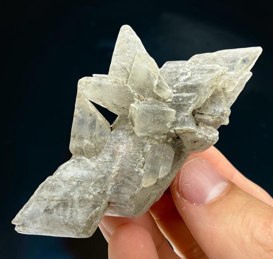 Gypsum Var. Selenite Crystal : Smoky Hill . Ellis County , Kansas 🇺🇸