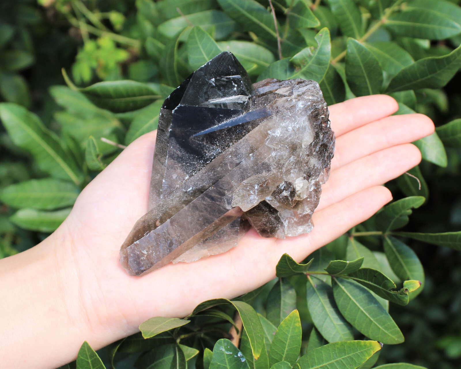 Smoky Quartz Crystal Clusters CLEARANCE Wholesale Lots (Smokey Quartz Cluster)