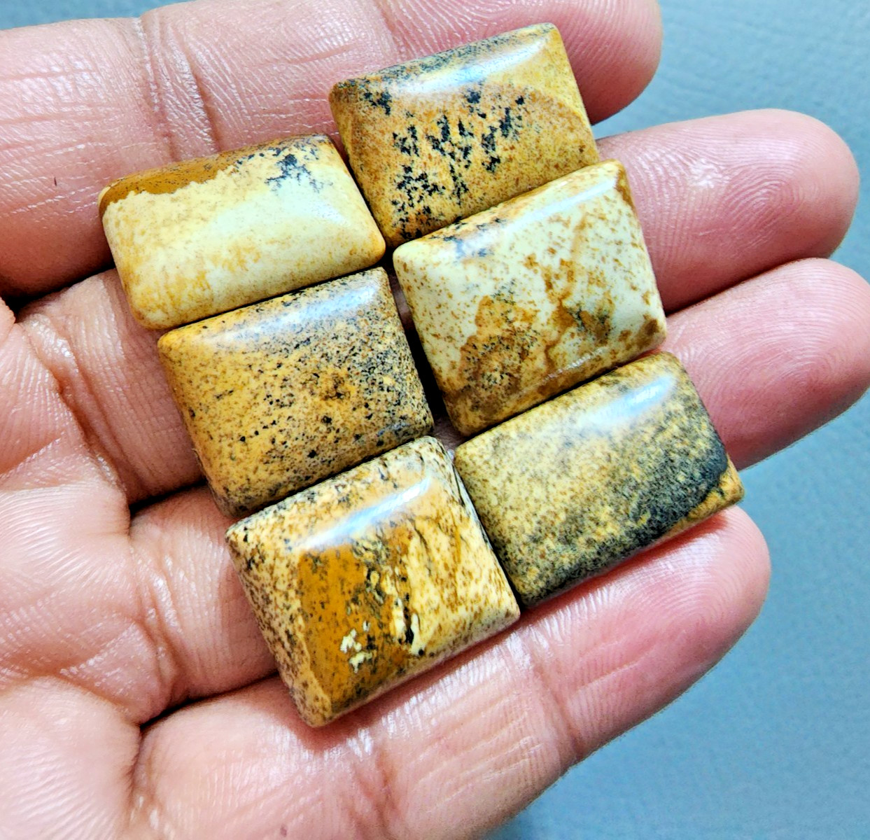 Natural Picture Jasper Cabochons 6 Piece Lot Polished Stone Jewelry Making Lot