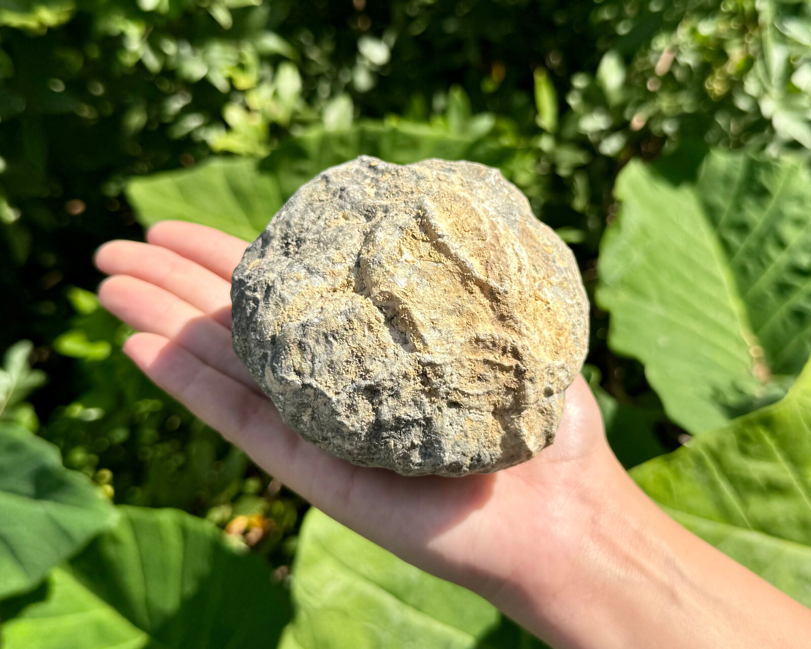 JUMBO Break Your Own Geodes Wholesale Lots – Unopened Moroccan Calcite Crystals