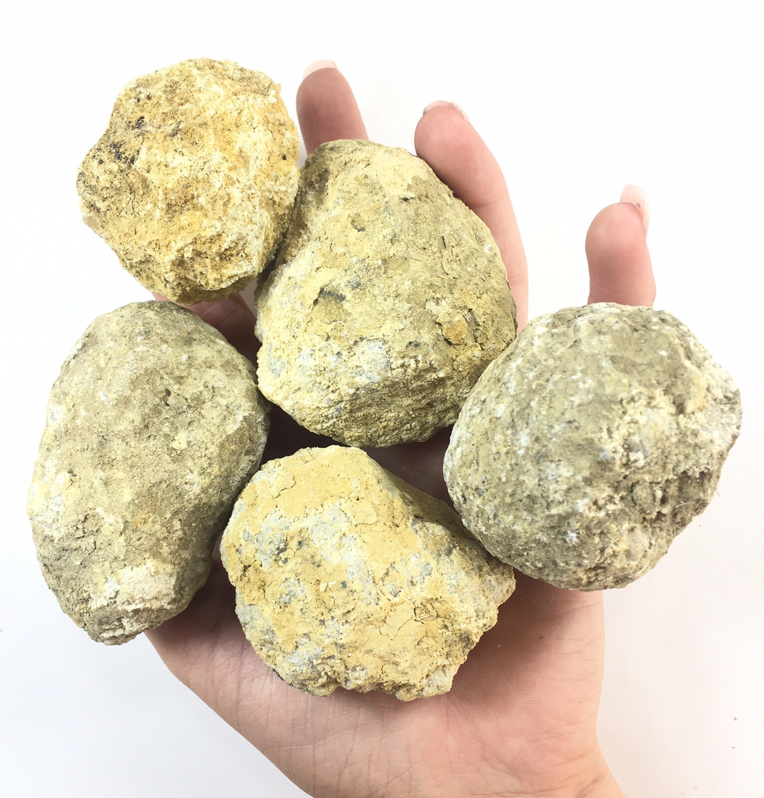 20 Break Crack Open Your Own Whole Quartz Geodes W/Gift Bag – 2″ Crystal Rocks