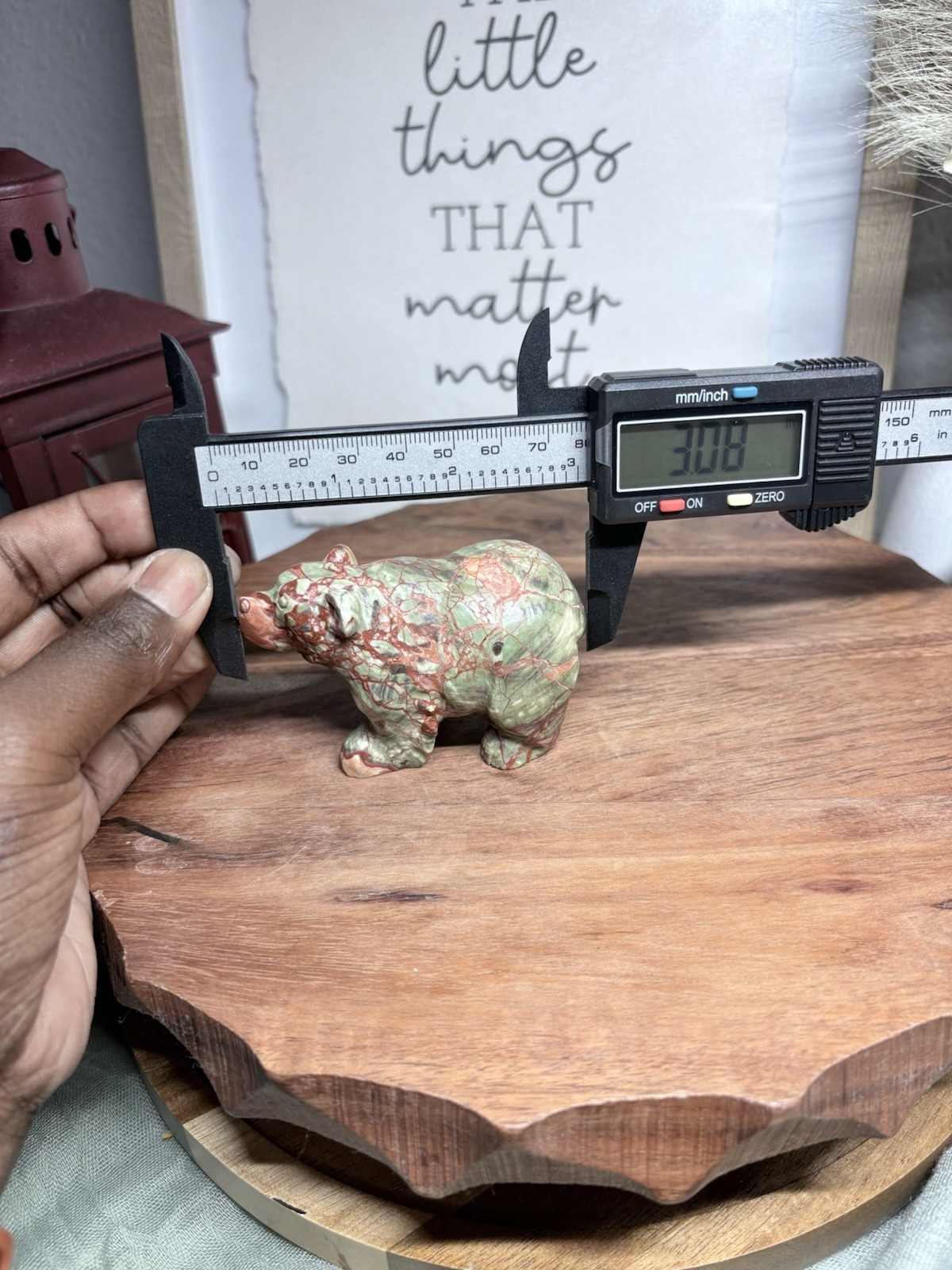 Carved Money Agate Marbled Bear