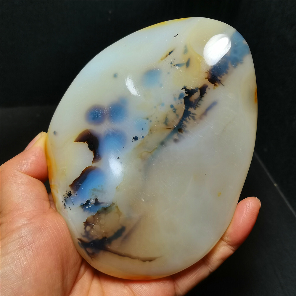 TOP 384 G Natural Polished Aquatic Plants Agate Crystal Madagascar BY384