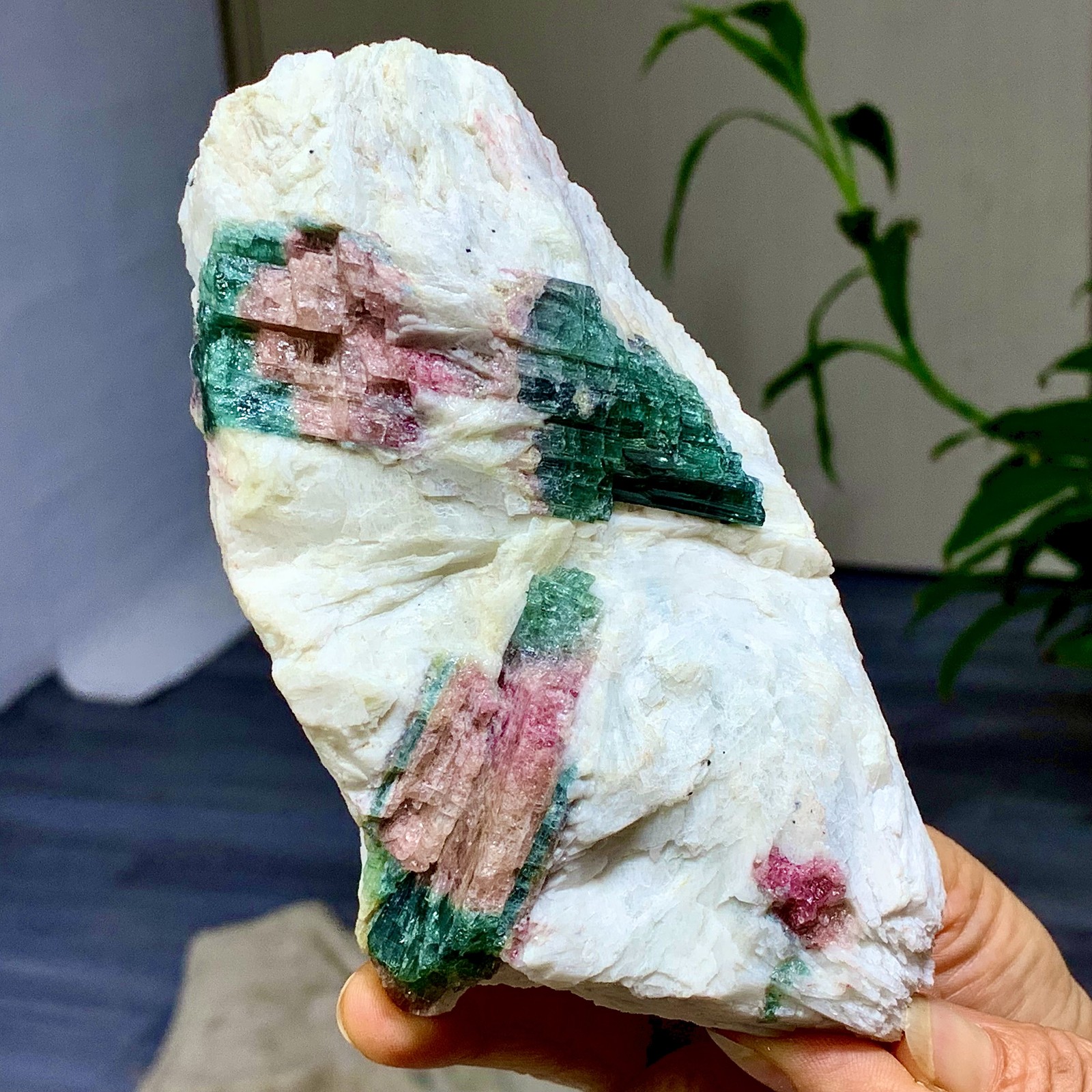 449G Natural pink-green tourmaline quartz crystal cluster mineral specimen