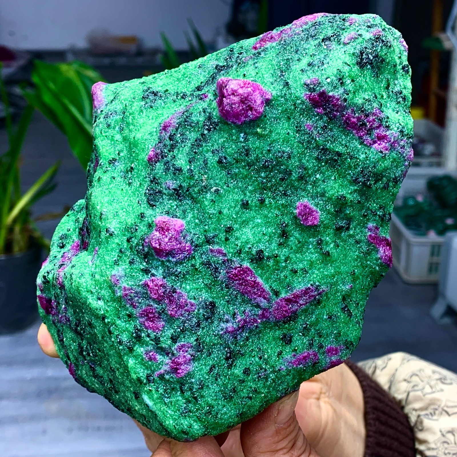 3.5LB Natural green Ruby zoisite (anylite) crystal Chakra Healing Energy A761