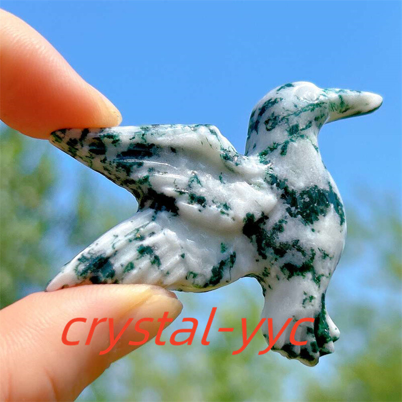 2″+ Natural Aquatic agatet Humming Bird Carved Quartz Crystal Skull Reiki 1pc