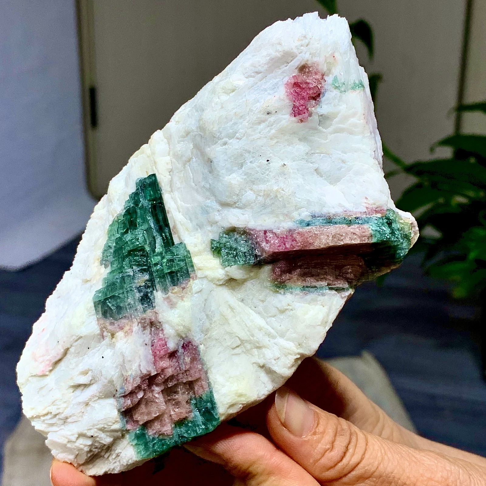 449G Natural pink-green tourmaline quartz crystal cluster mineral specimen