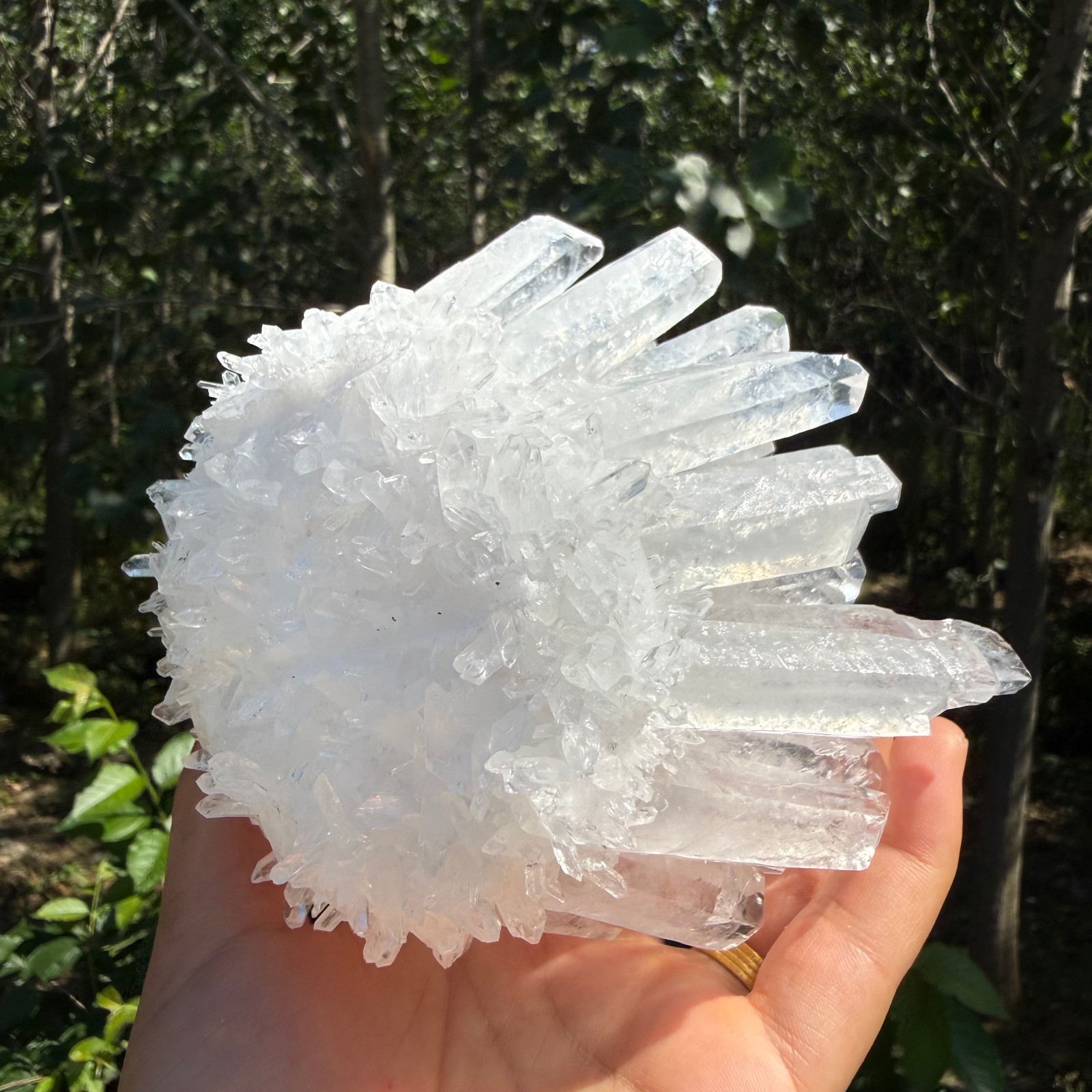 2.2LB Large Natural White Clear Quartz Cluster Crystal Mineral Healing 1pc
