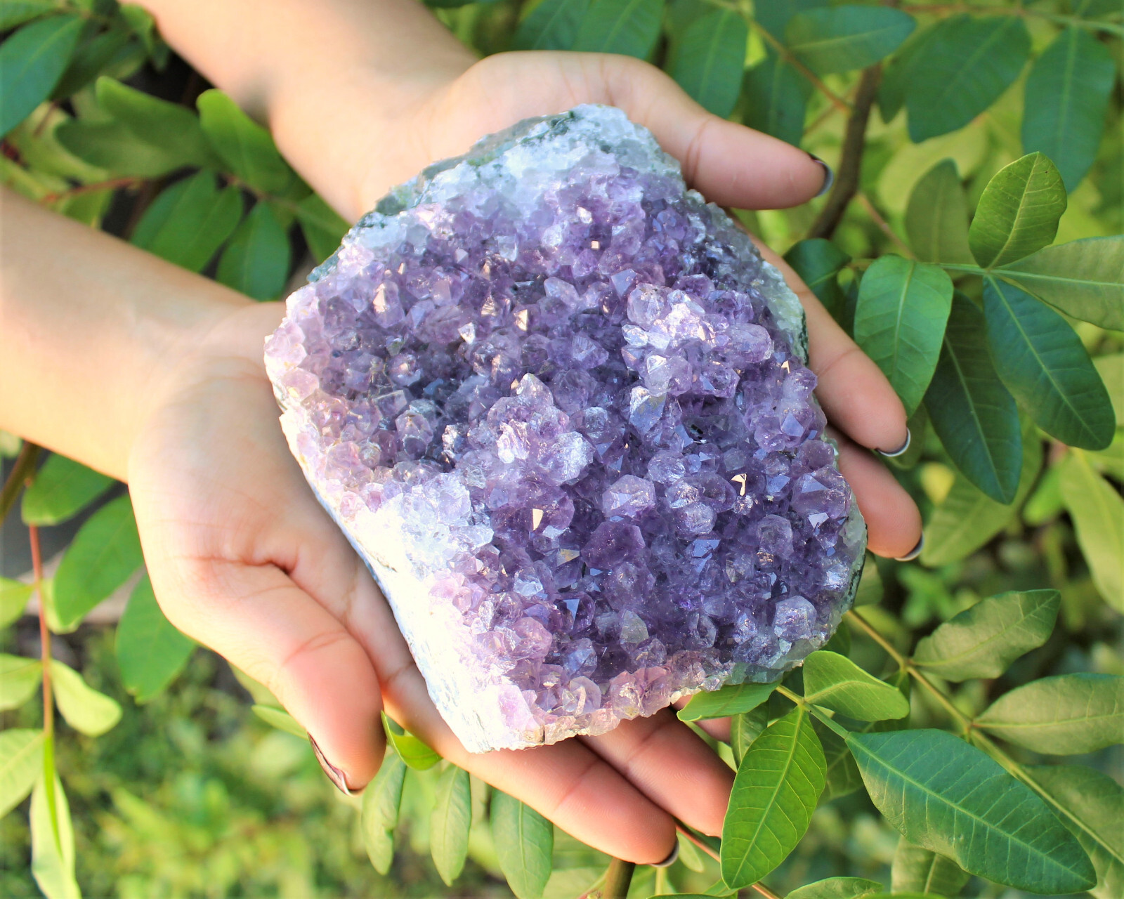 Clearance Amethyst Crystal Clusters – Natural ‘B’ Grade Cluster Druze Specimens