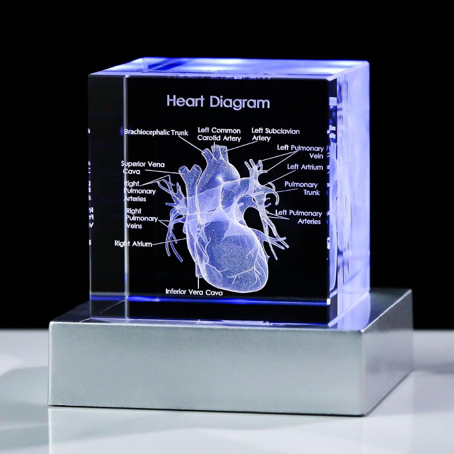 3D Human Heart Model Doctor Gifts for Men 3D Laser Etched Crystal Anatomical Hea
