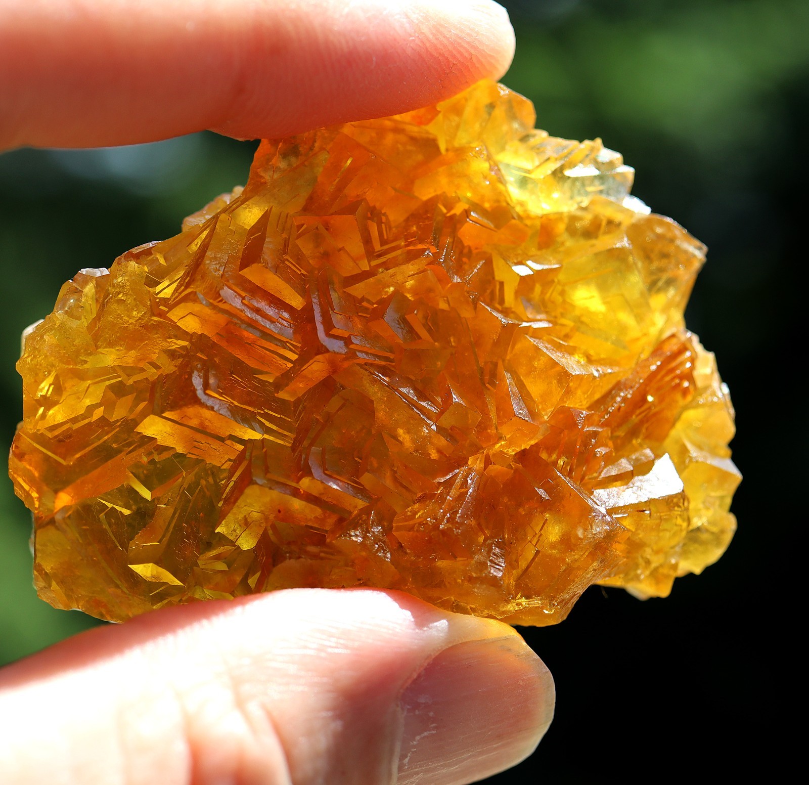 Gem Fluorite. Steinkopf, Namakwa Dist, Municipality, Northern Cape, South Africa