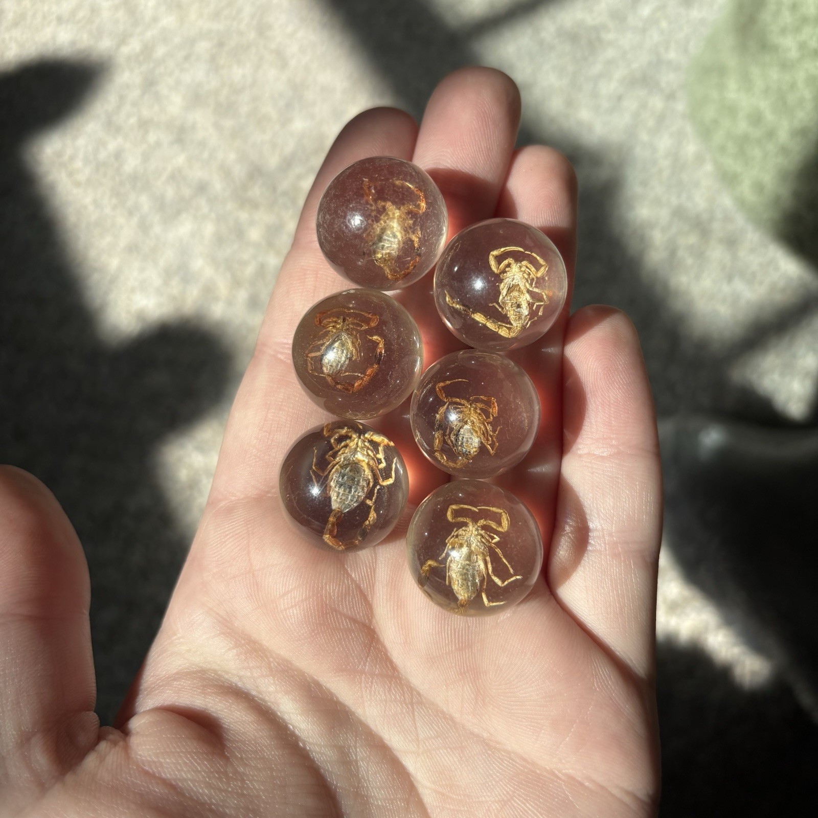 Scorpion In Resin Sphere Bulk Lot Of 6pcs Crystal Ball