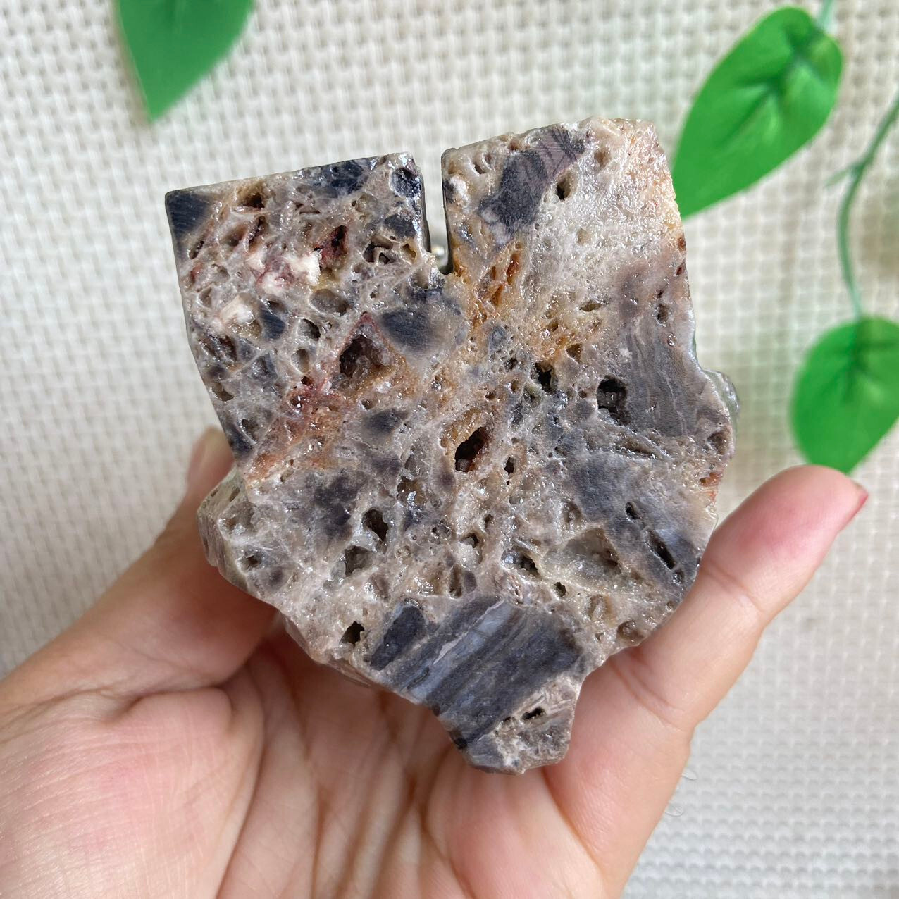 470g Druzy Sphalerite Hello Kitty Cat Carving Titanium Angel Aura Quartz Crystal