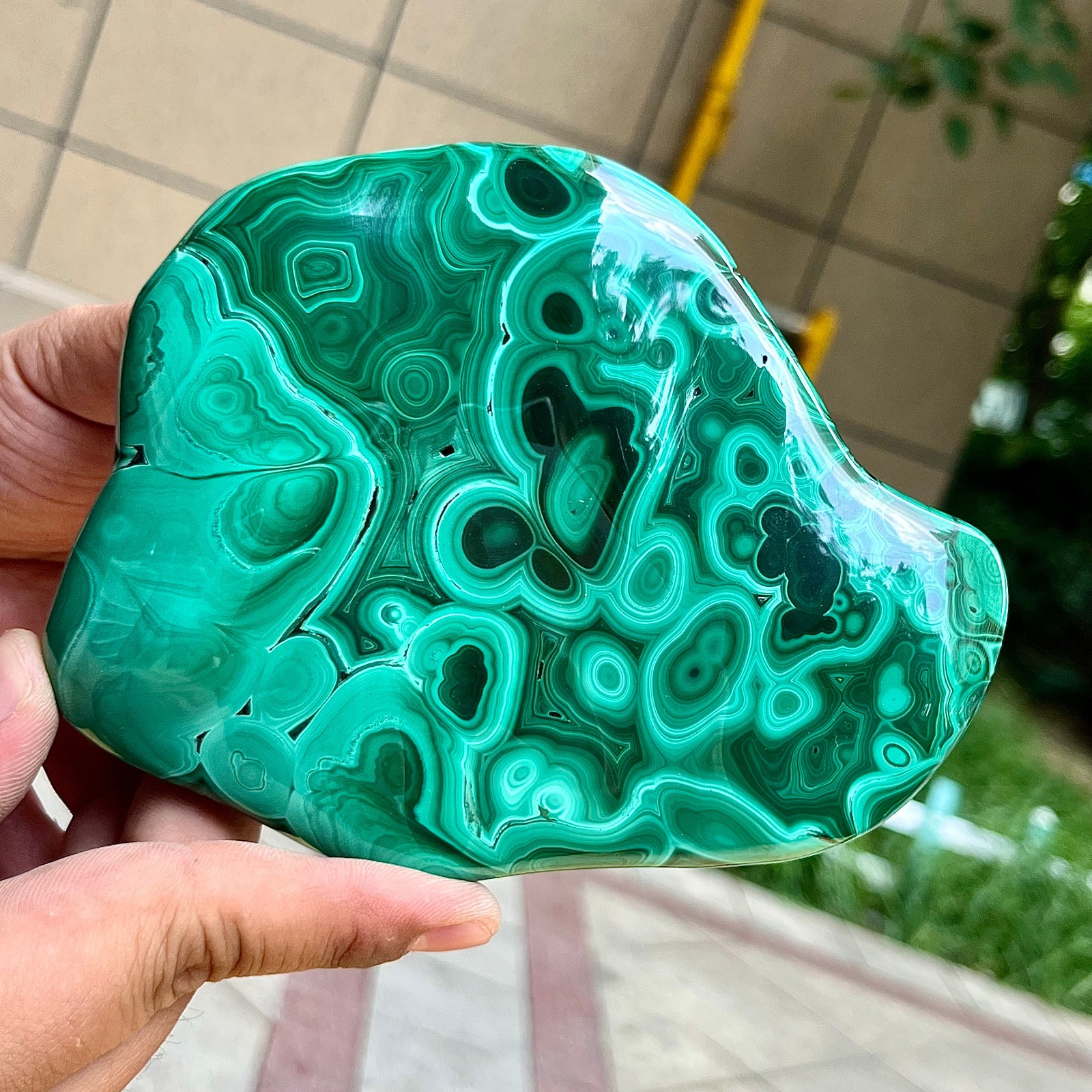 2.2 lb Malachite Quartz Freeform One Side Polished Natural Crystal Specimen