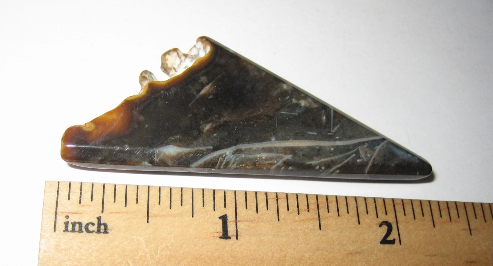 2″ x 1″ TUMBLED POLISHED CABOCHON STYLE CUT FOSSIL FORAMINIFERA STONE ~ 10.2g *7