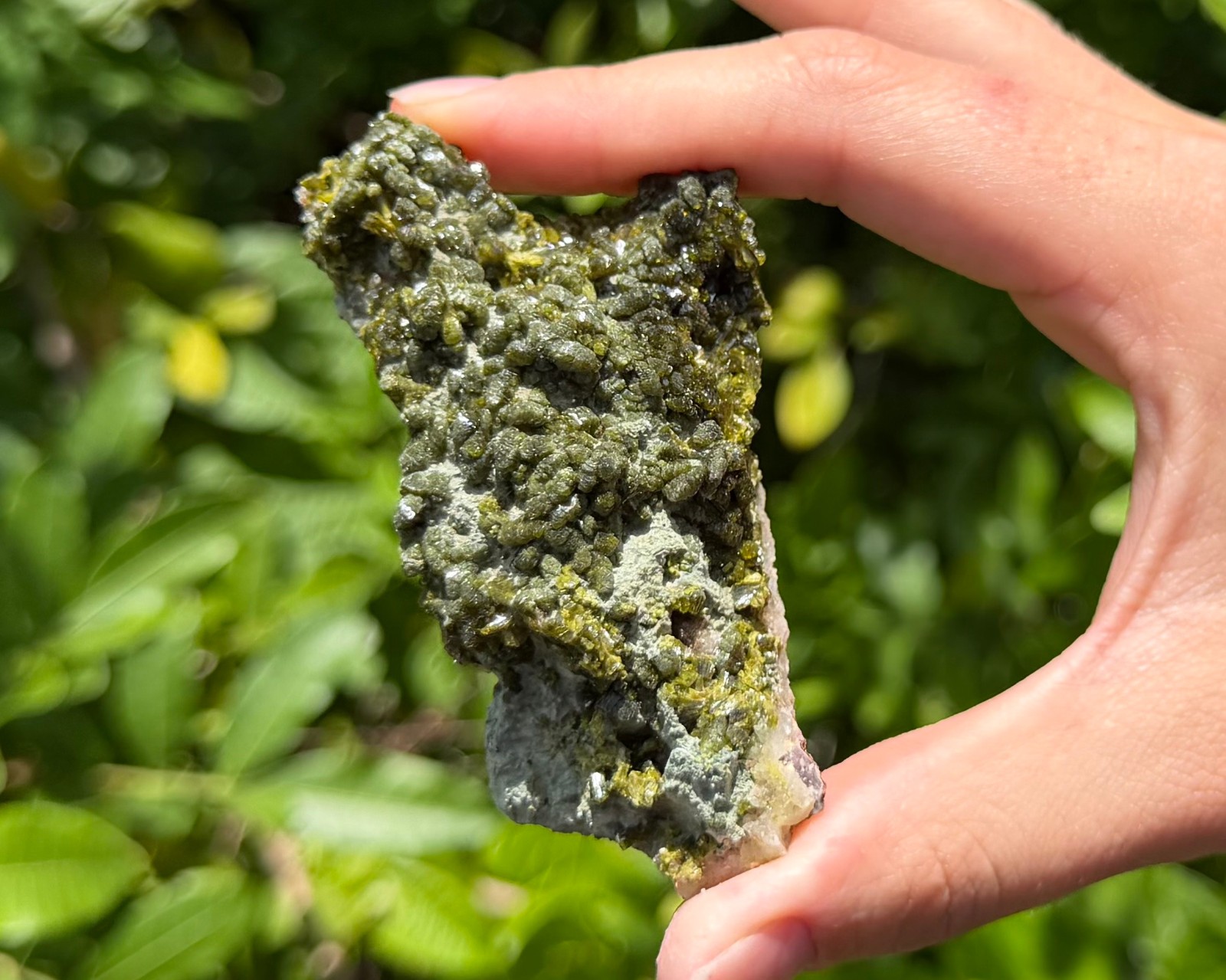 Natural Epidote with Quartz Crystal Clusters – Fairy Forest Quartz Minerals