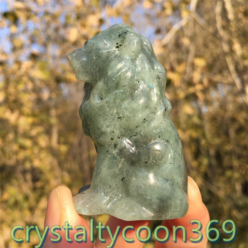 2″+ Natural Labradorite Quartz Carved Lion Crystal Gift Skull Reiki Healing 1pc
