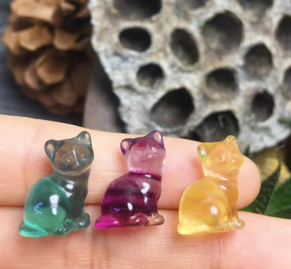 5pc Natural fluorite Carved mini cat crystal quartz crystal reiki healing decor