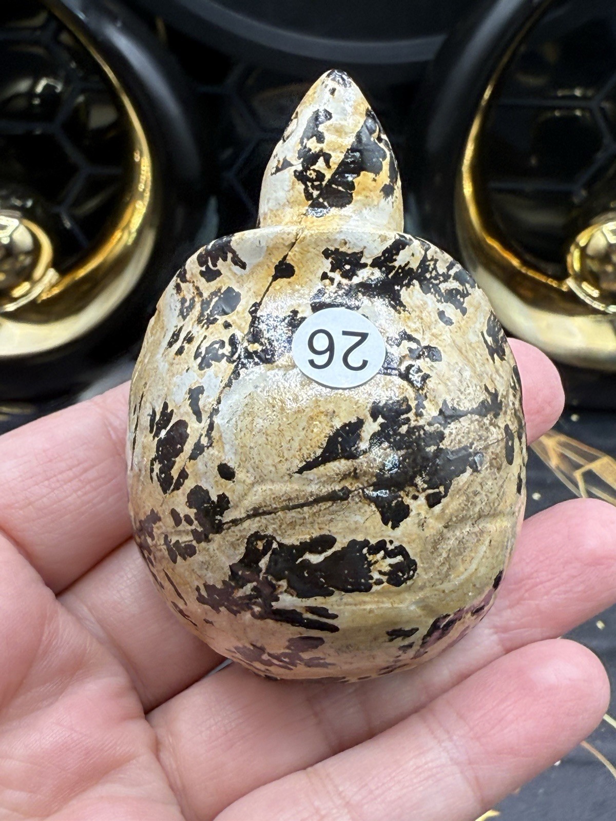 Natural Picture Jasper Land Turtle Tortoise Super Cute Carvings Free ship