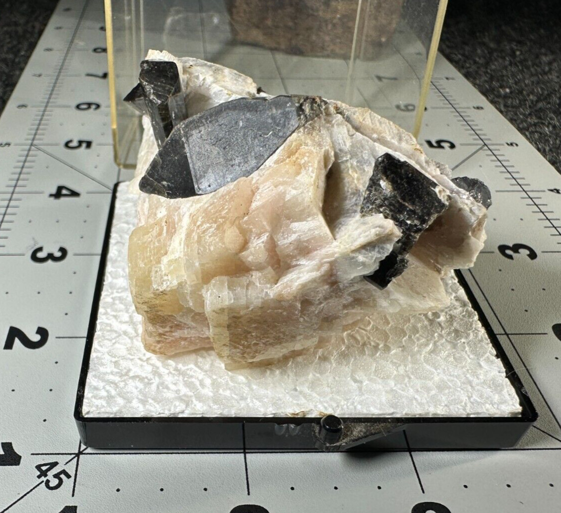 ➤2-3/4″ EDENITE CRYSTALS in CALCITE – Wilberforce Ontario Canada VIDEO➤598