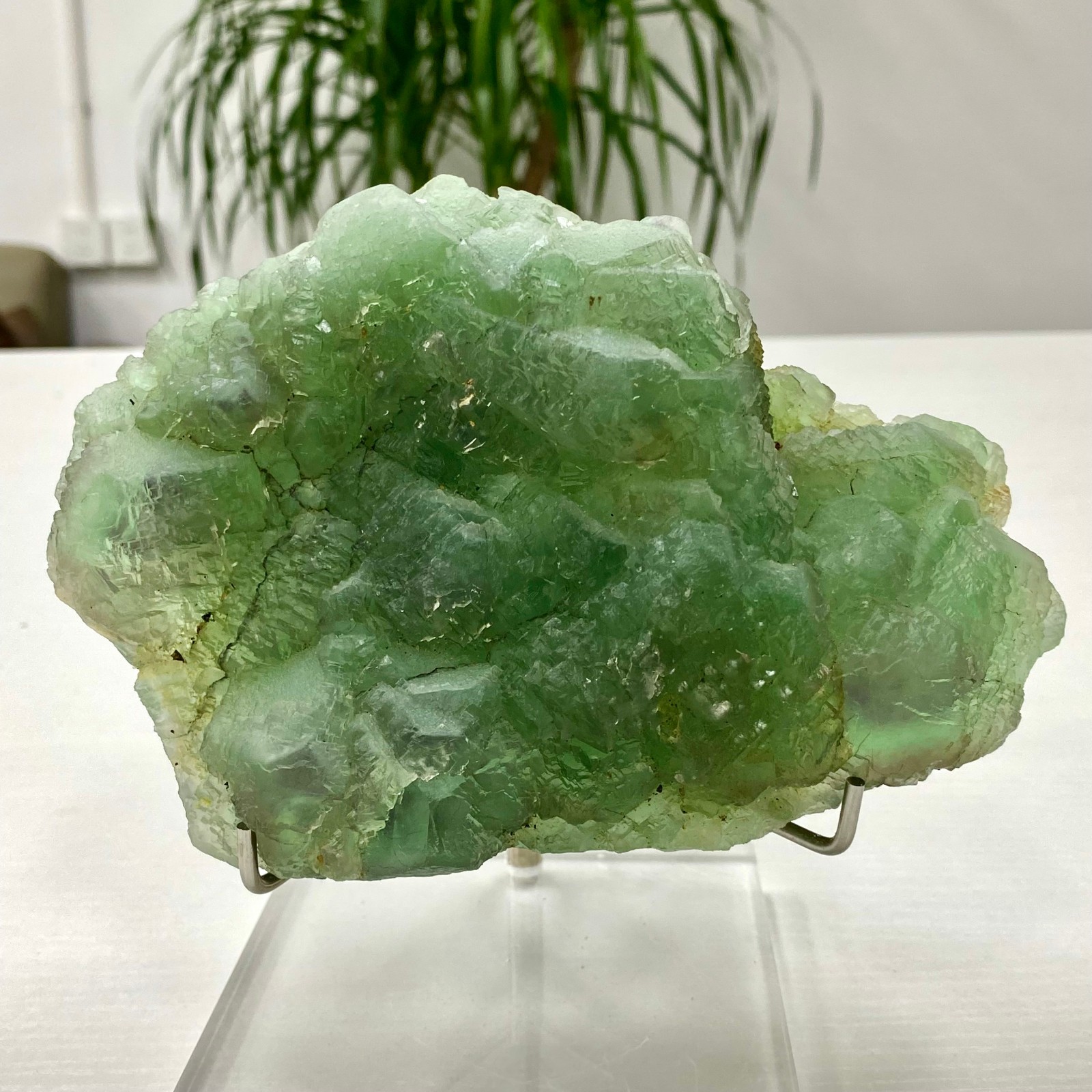 3.64LB Natural transparent green cubic fluorite mineral crystal sample/China