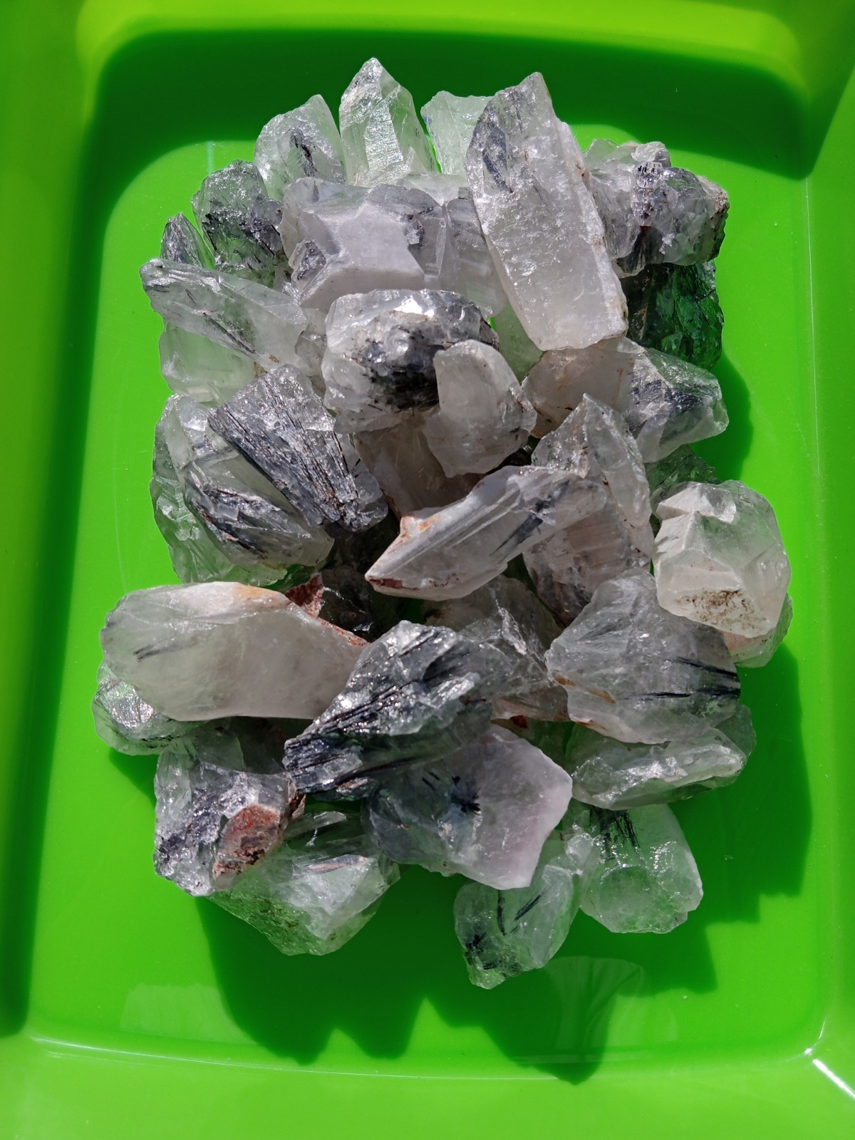 40 Pieces Rough Black Tourmaline In Quartz! Healing, Over 3 Lbs! P-4