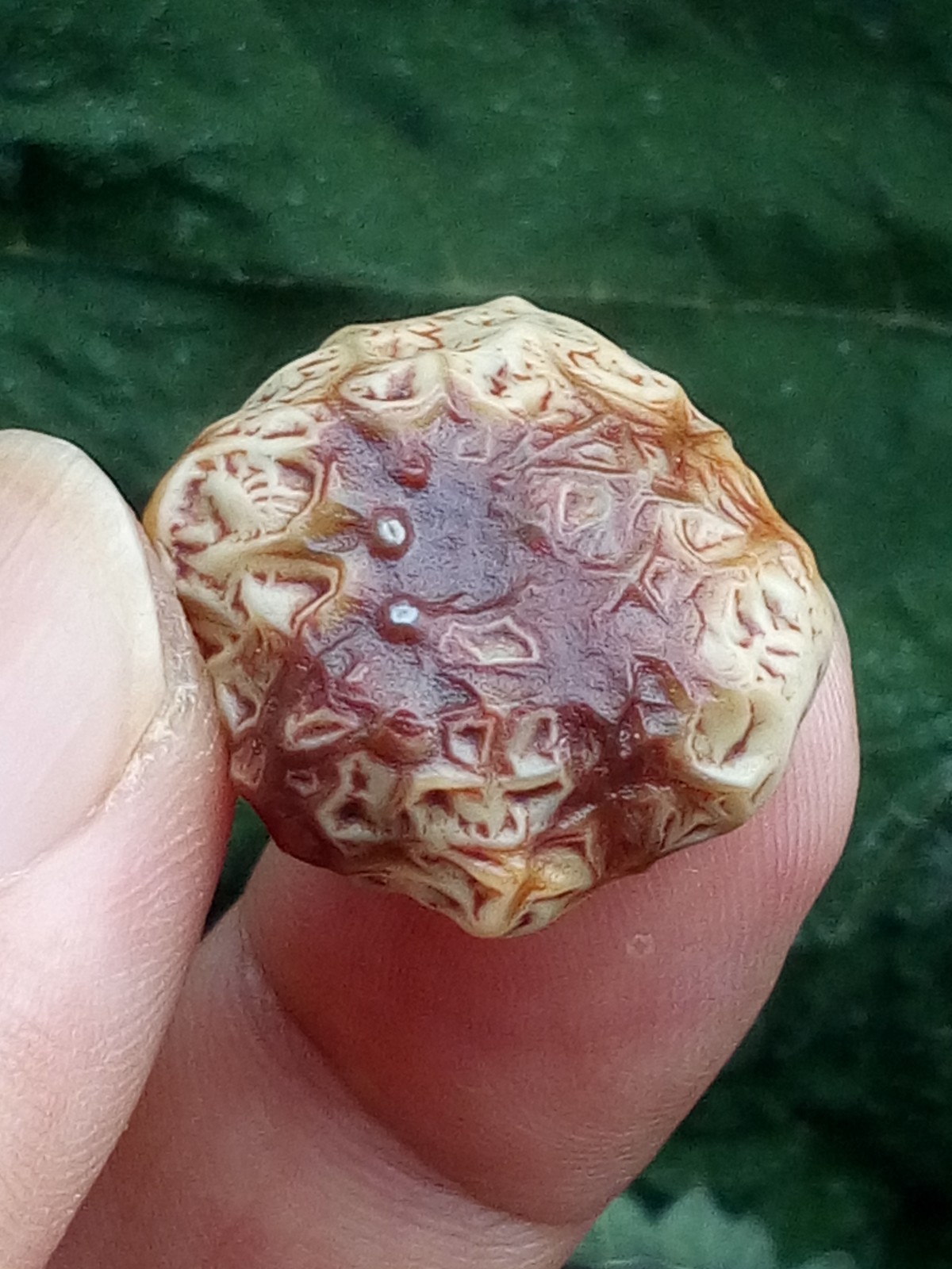26mm Beautiful Natural GoBi agate veins agate collection