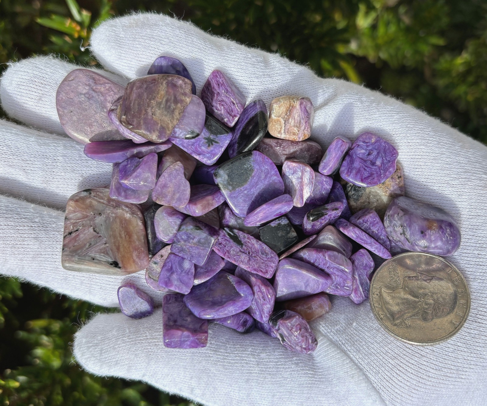 96g LOT CHAROITE CHIPS REAL AUTHENTIC MIXED SIZES: SMALL XS TINY