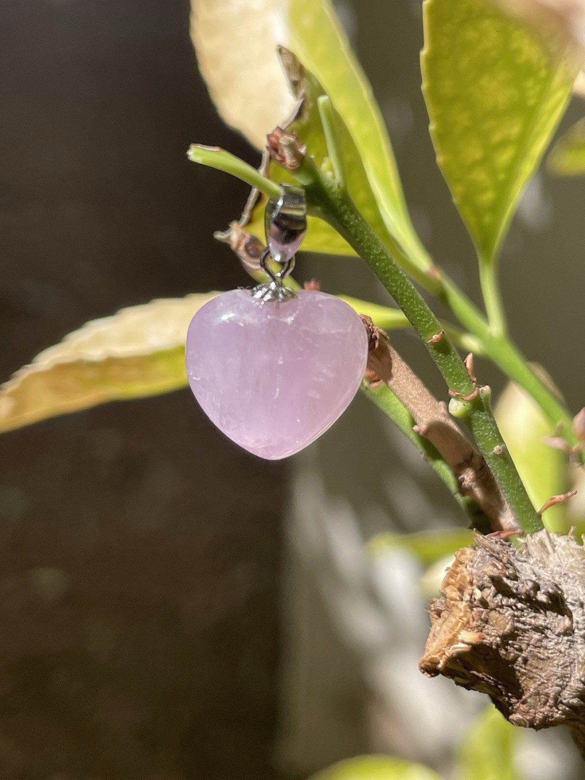 HQ Kunzite Crystal/Gemstone Heart Pendant S925 12mm x 12mm