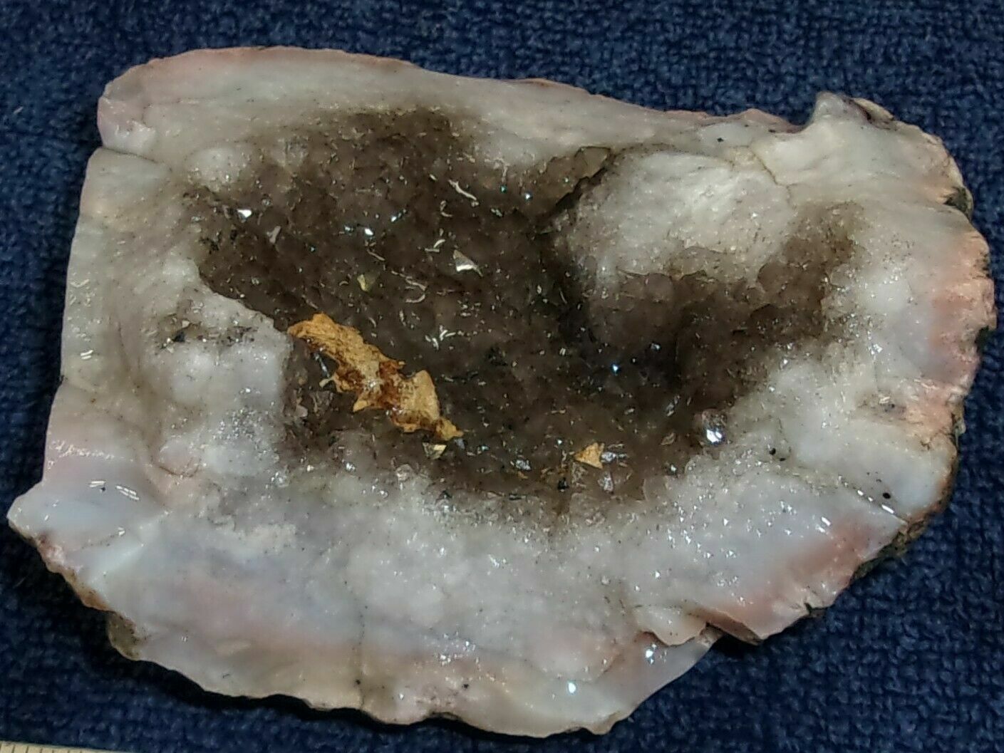1.5 LB Kentucky Agate Geode Smokey Quartz Cluster