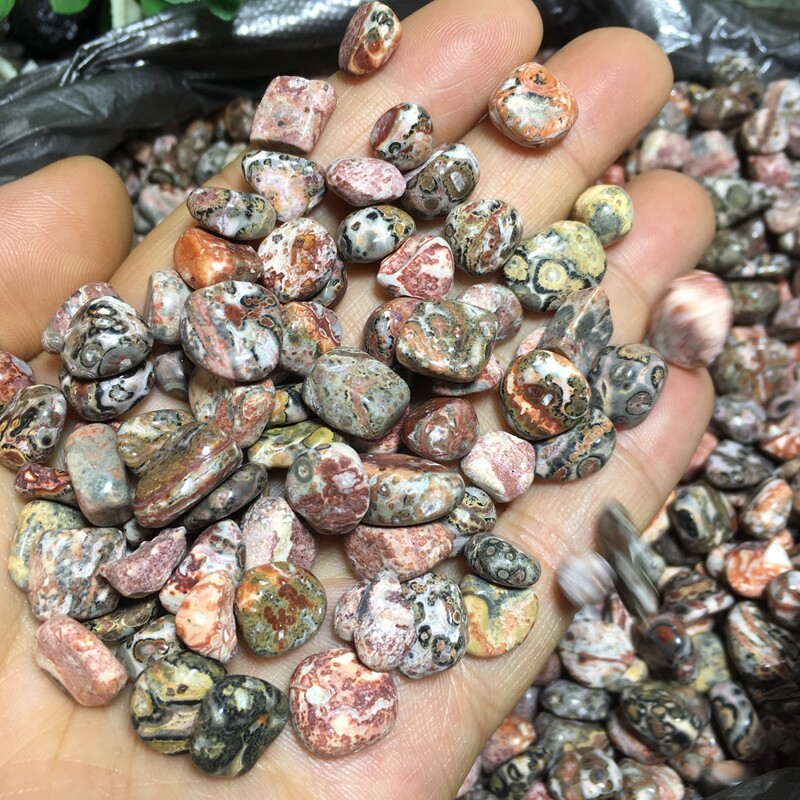 50g Leopard stone polish Tumbled stone healing reiki small size 4-9mm