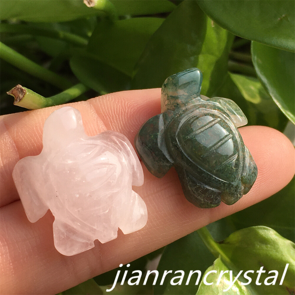 5pcs Mix Natural Quartz Tortoise Carved Mini Quartz Crystal Skull Reiki Healing