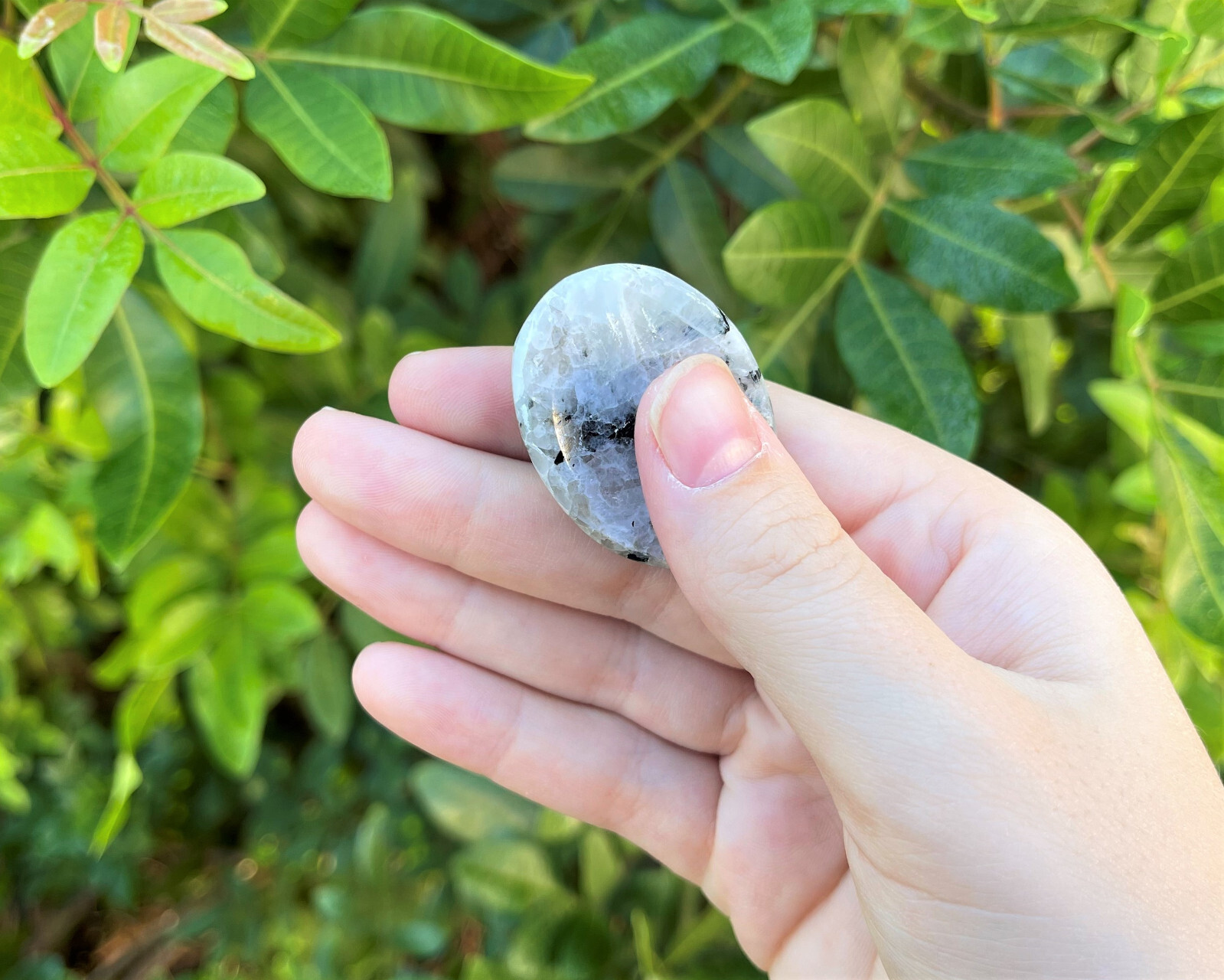 Rainbow Moonstone Worry Stone (Smooth Polished Rainbow Moonstone Palm Stone)