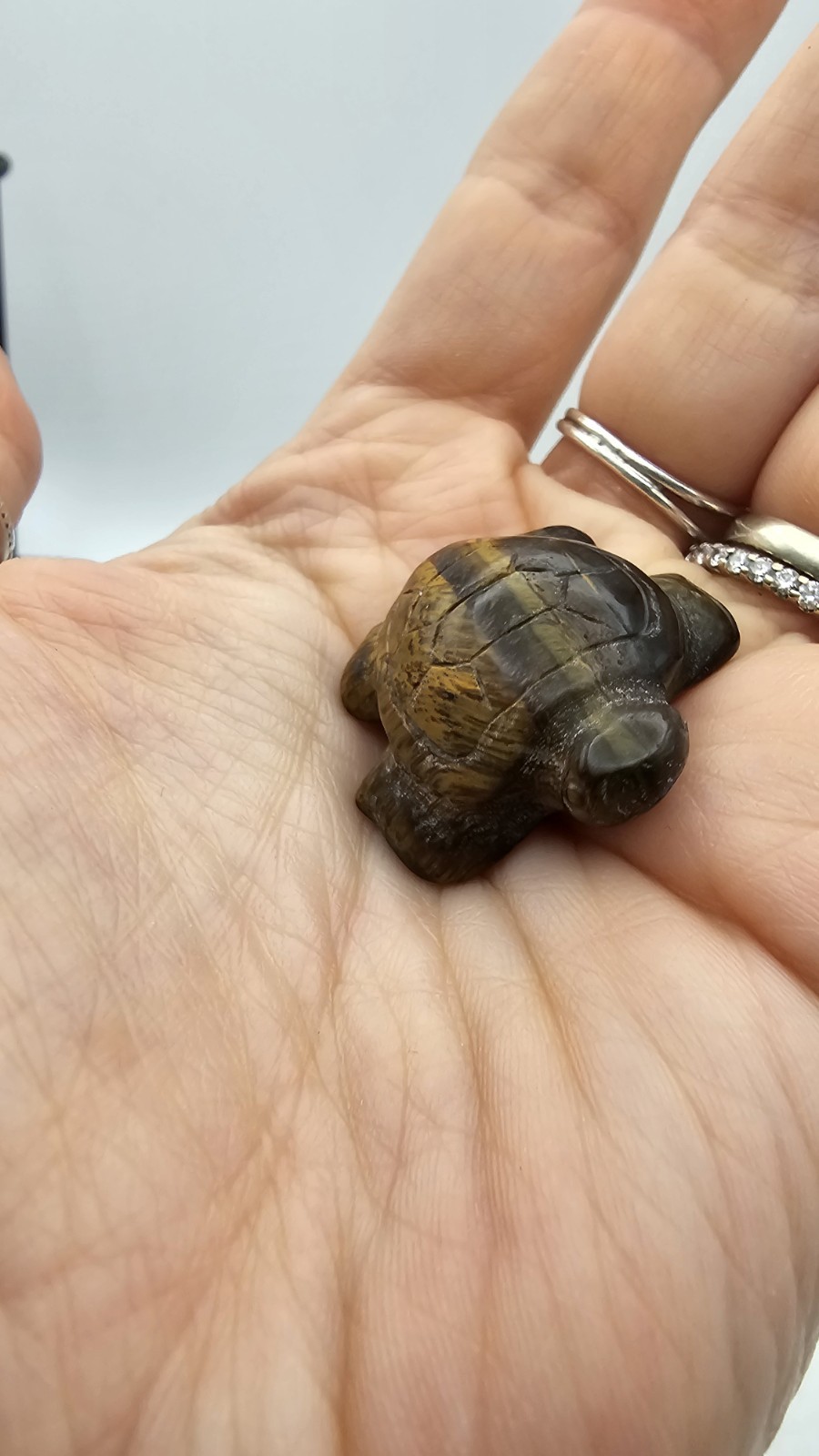 Mini tigers eye crystal Turtle Tortoise Carving 11g 2.8cm