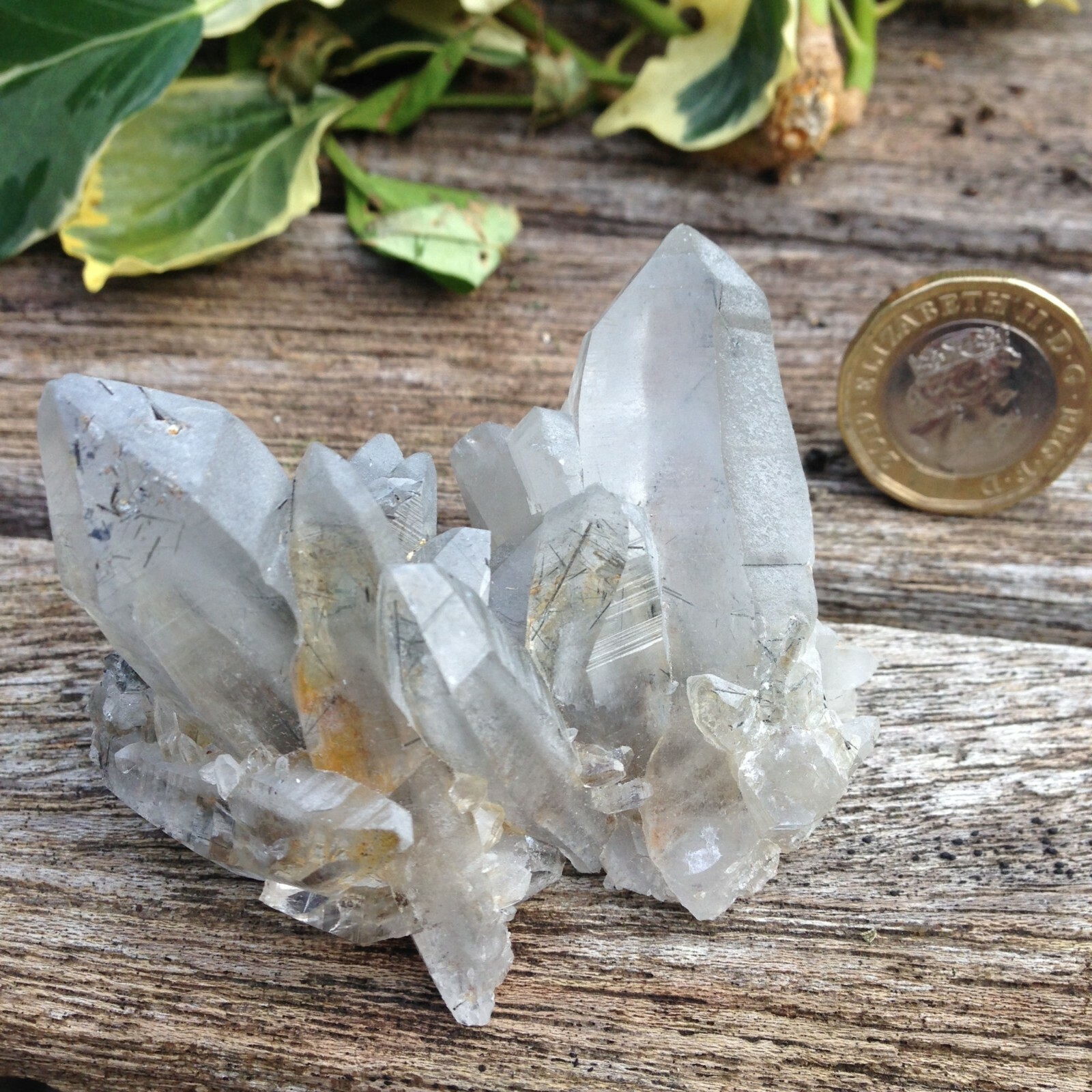 Quartz with Chlorite Crystal Cluster Connect to Nature Animals 66g 6×4.4×4.9cm