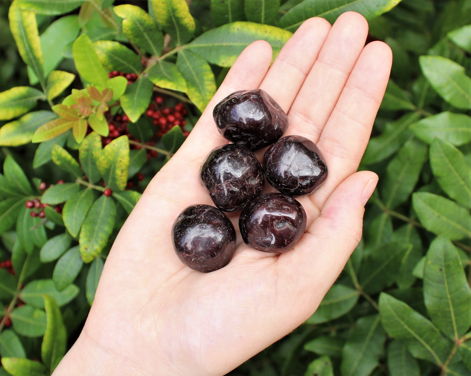 5 Garnet Tumbled Stones: Medium 0.75 – 1″ (Crystal Healing Reiki Chakra)