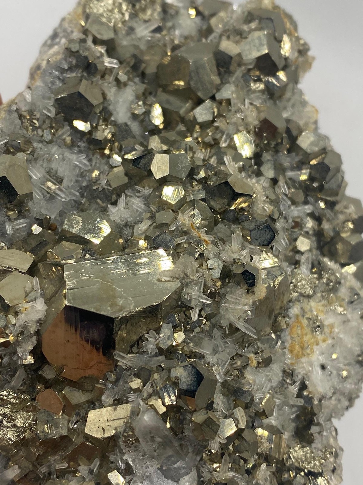 Shiny Golden Pyrite with Quartz crystals!