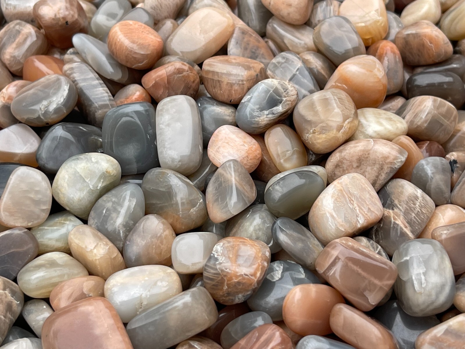 Grade A++ Moonstone Multi Tumbled Stone,0.5-1.25″ Tumbled Multicolored Moonstone